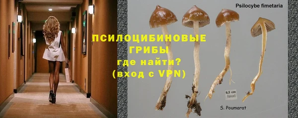каннабис Михайловск